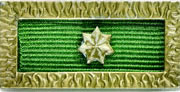 Unit Citation for Gallantry